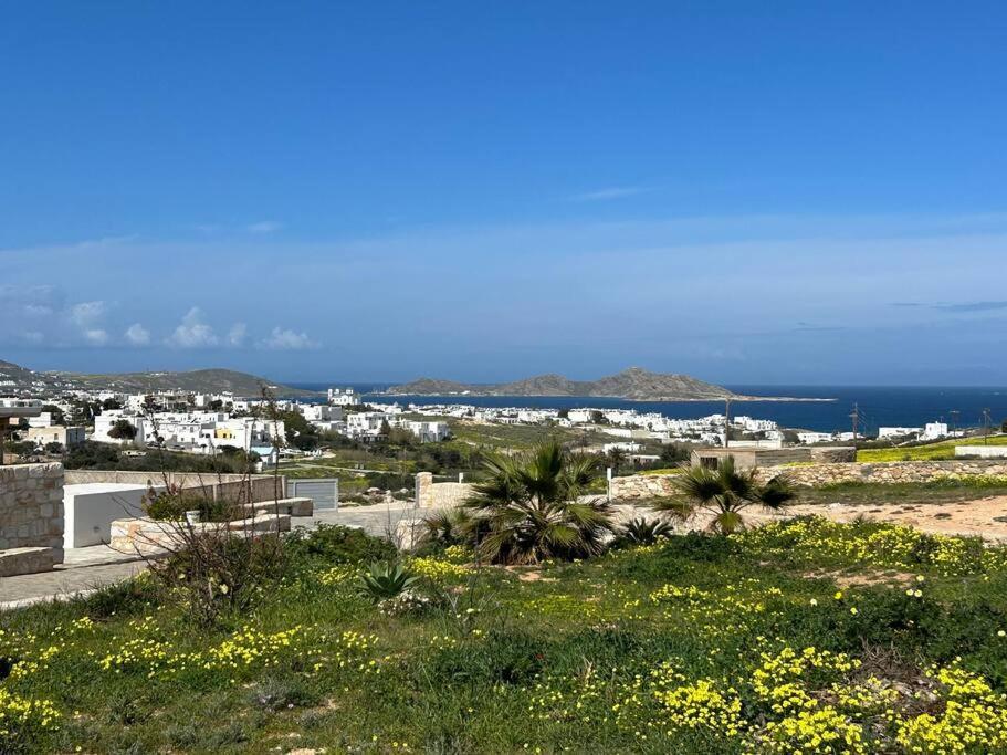 Aretousa Residence In Naoussa, Paros Exterior photo